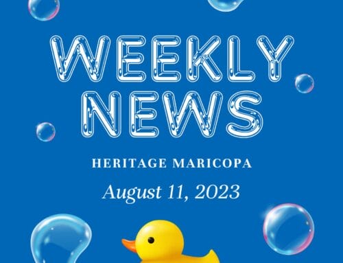 Weekly News 8/11/23