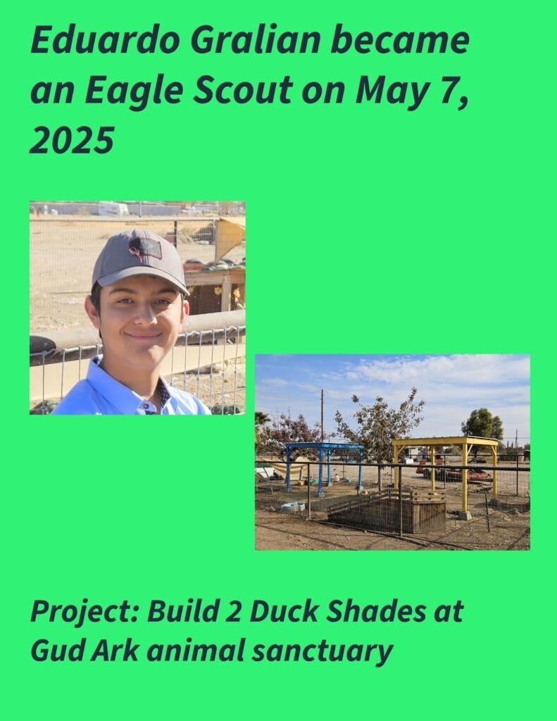 Eduardo-Eagle-Scout-scaled